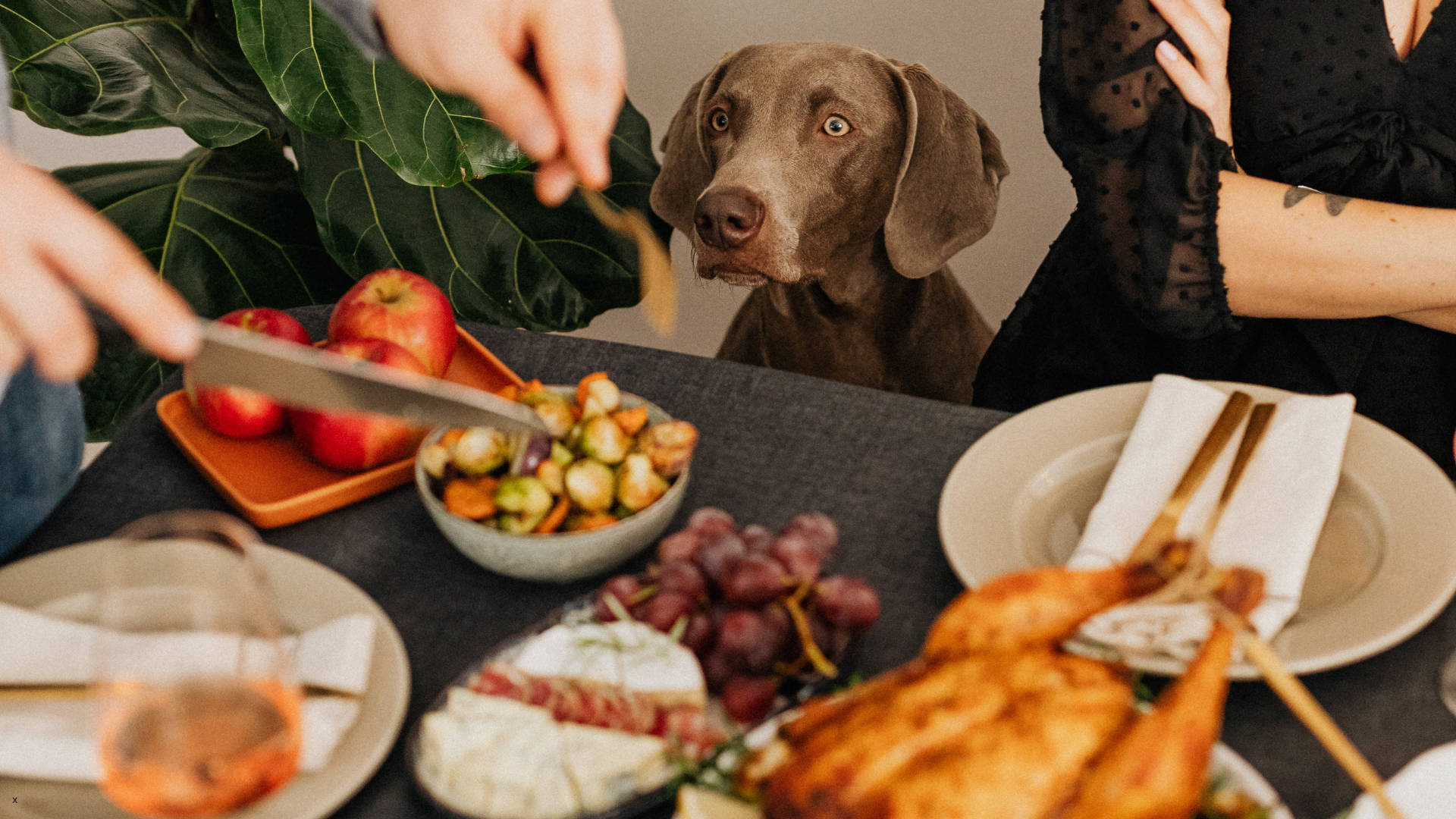 Thanksgiving foods to avoid