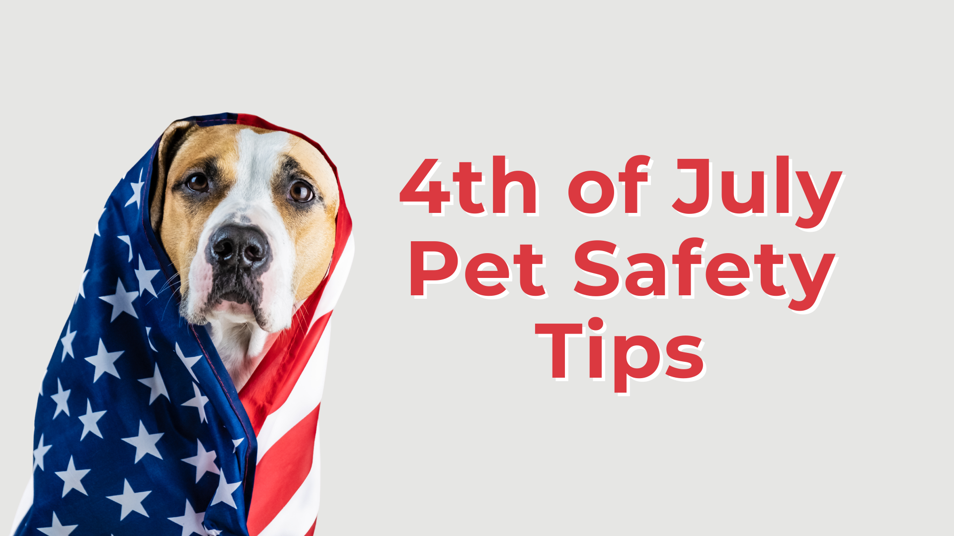4th of July pet safety tips infographic from The Pet Clinic in Salem, Oregon