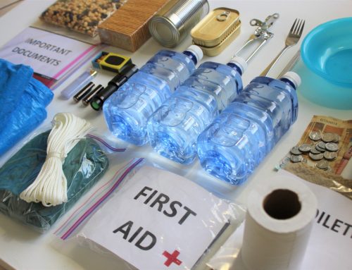 Include Your Pet When Preparing for Disaster