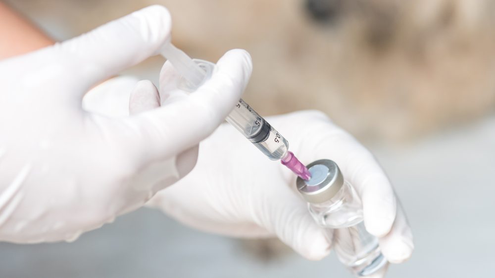 Vaccines for cats and dogs